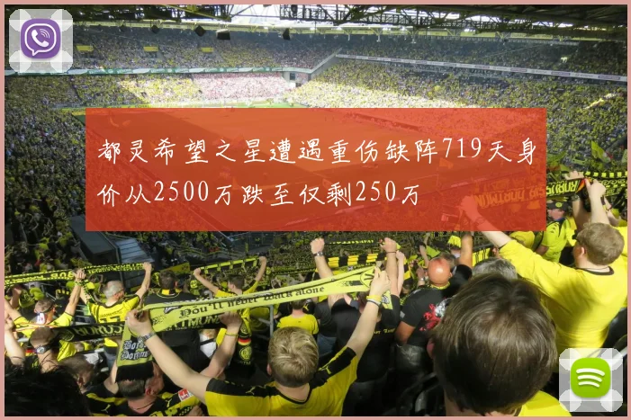 都灵希望之星遭遇重伤缺阵719天身价从2500万跌至仅剩250万
