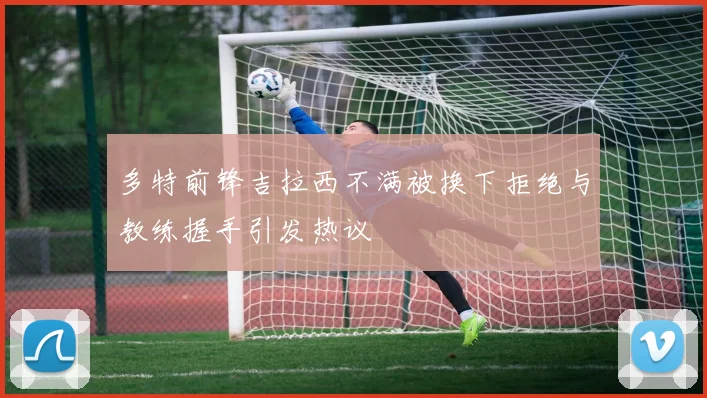 多特前锋吉拉西不满被换下拒绝与教练握手引发热议