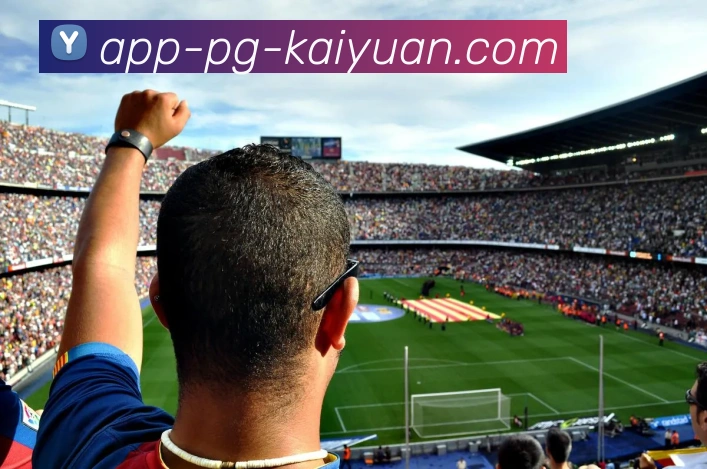 App Interface Preview