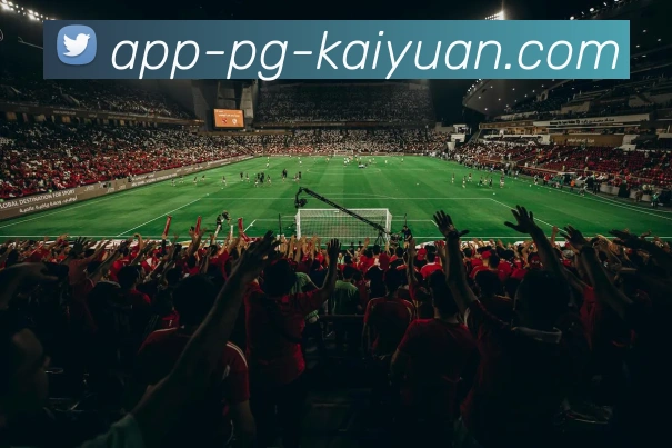 开元体育APP 封面图